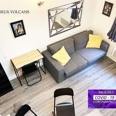 Vivez Sur Un Volcan, Vivez Clermont Ferrand Apartment Bagian luar foto