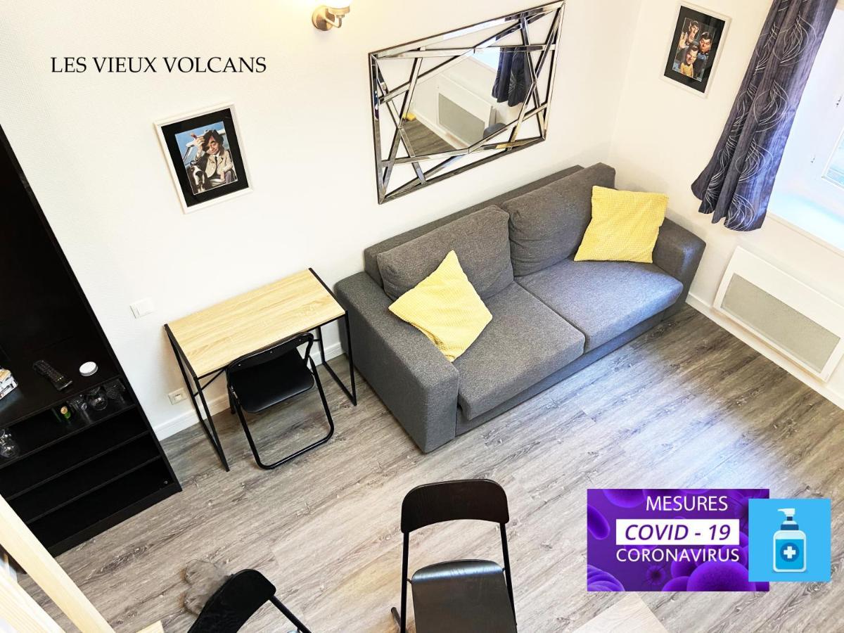 Vivez Sur Un Volcan, Vivez Clermont Ferrand Apartment Bagian luar foto